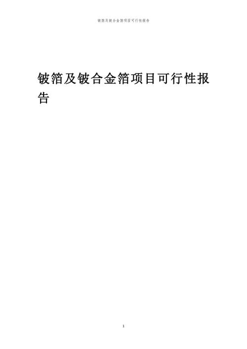 铍箔及铍合金箔项目可行性报告