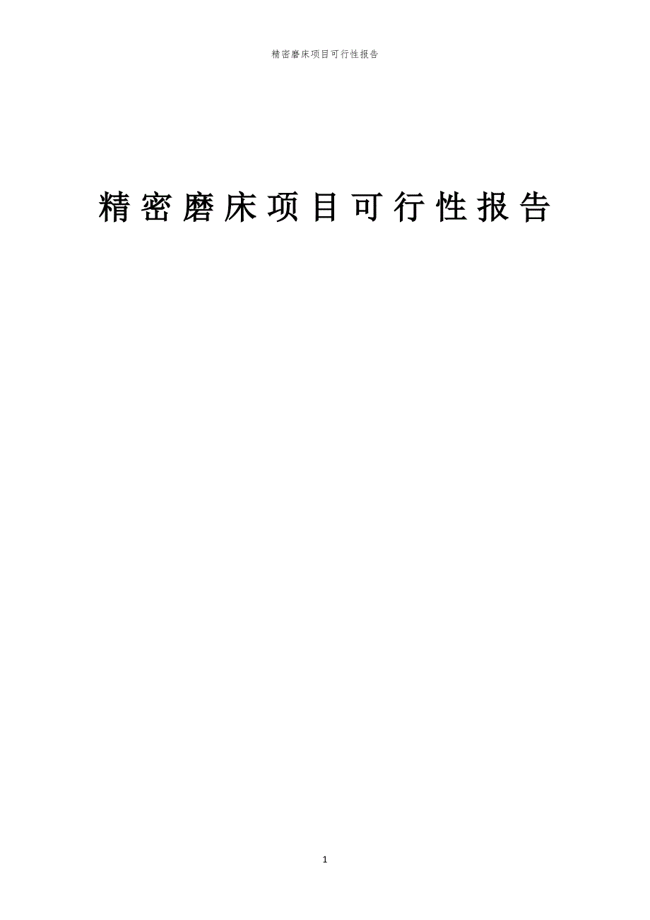 精密磨床项目可行性报告_第1页