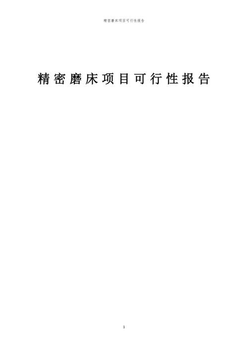 精密磨床项目可行性报告