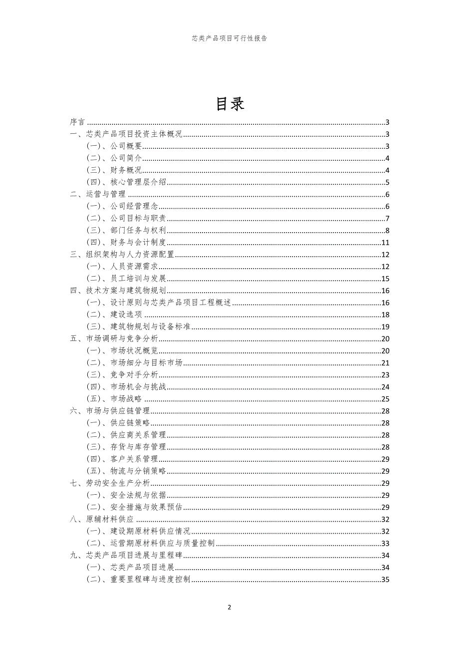 芯类产品项目可行性报告_第2页