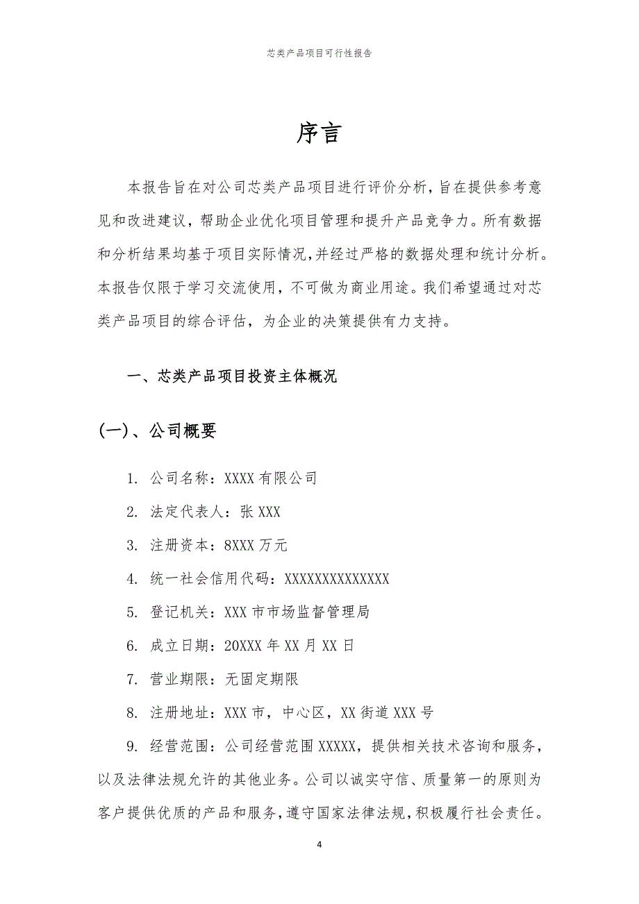 芯类产品项目可行性报告_第4页