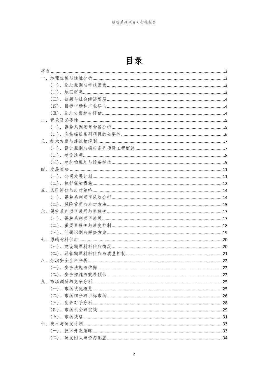 锡粉系列项目可行性报告_第2页