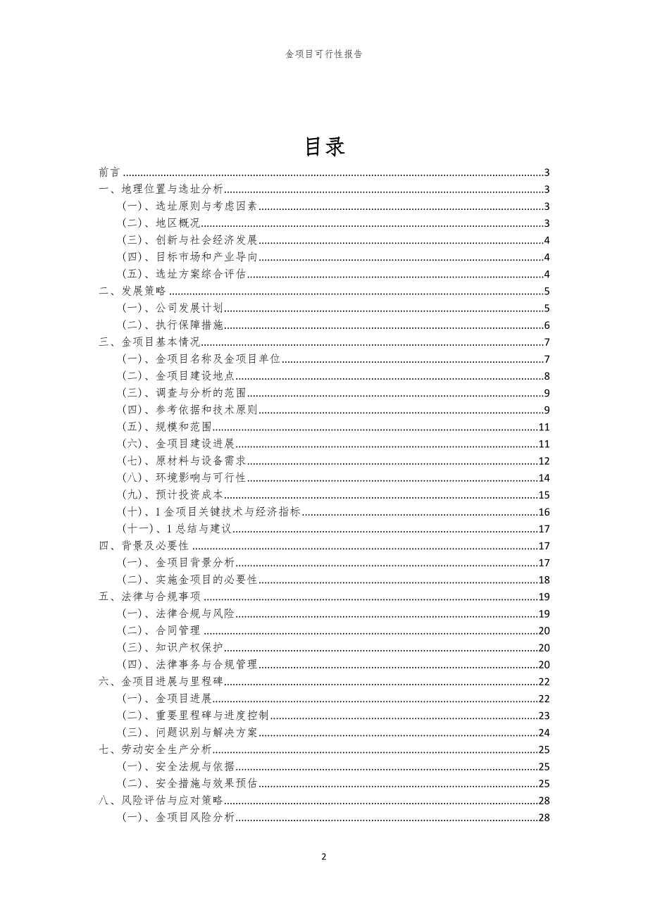 金项目可行性报告_第2页