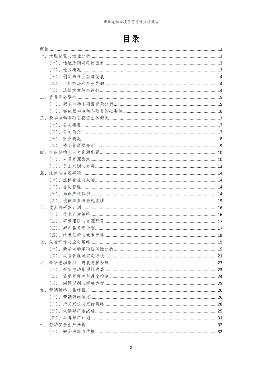 豪华电动车项目可行性分析报告_第2页