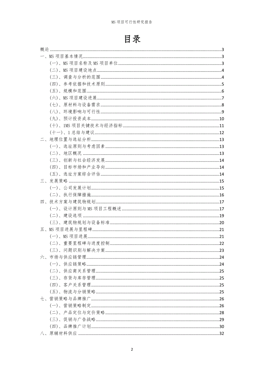 MS项目可行性研究报告_第2页