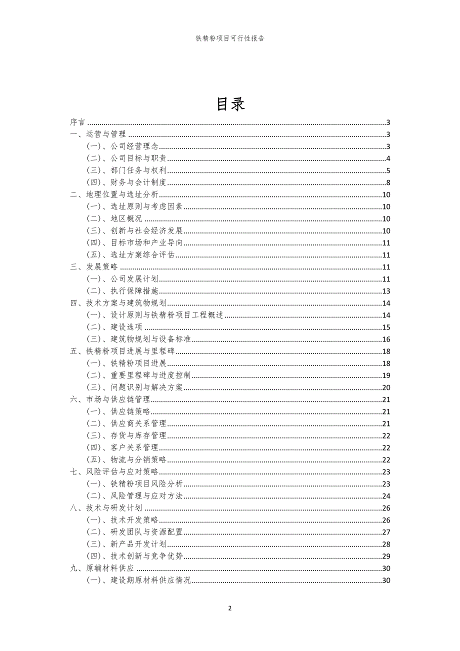 铁精粉项目可行性报告_第2页