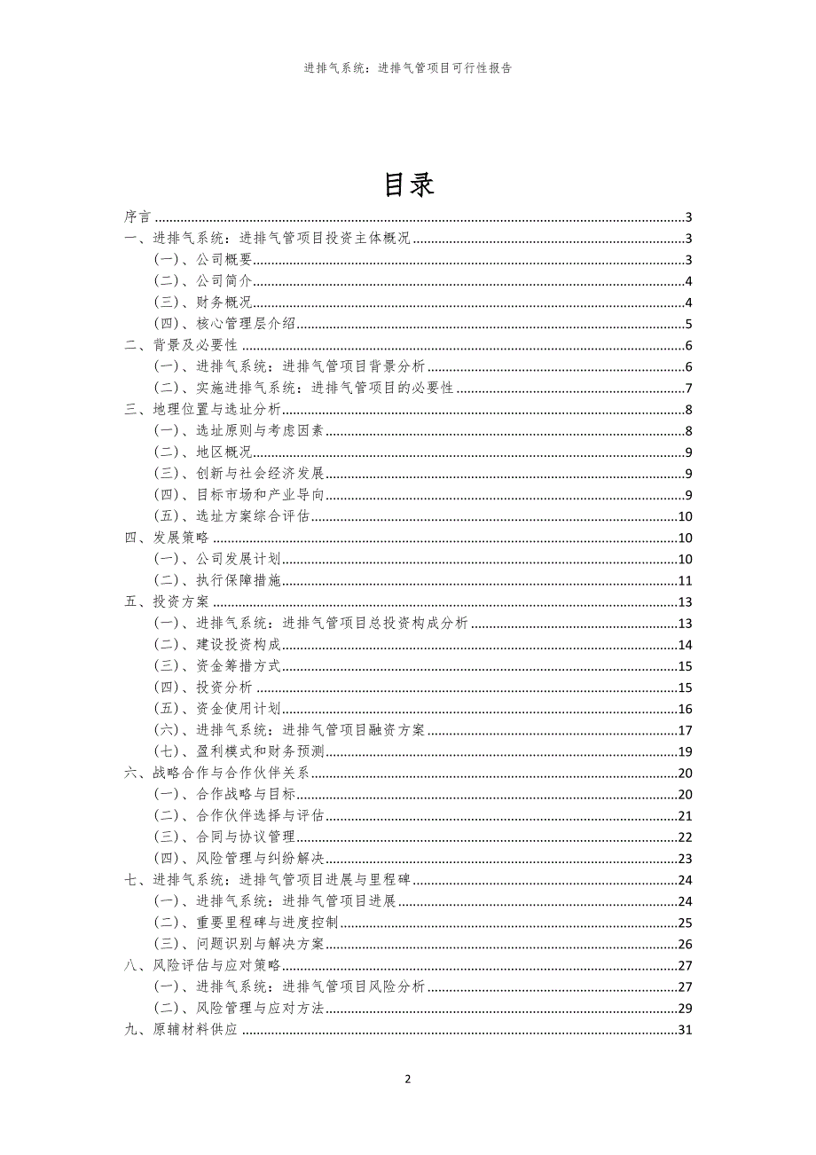 进排气系统：进排气管项目可行性报告_第2页