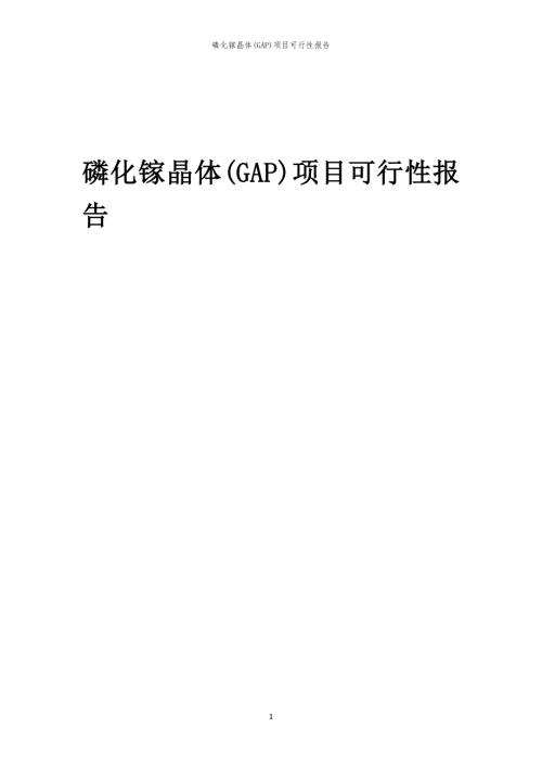 磷化镓晶体(GAP)项目可行性报告