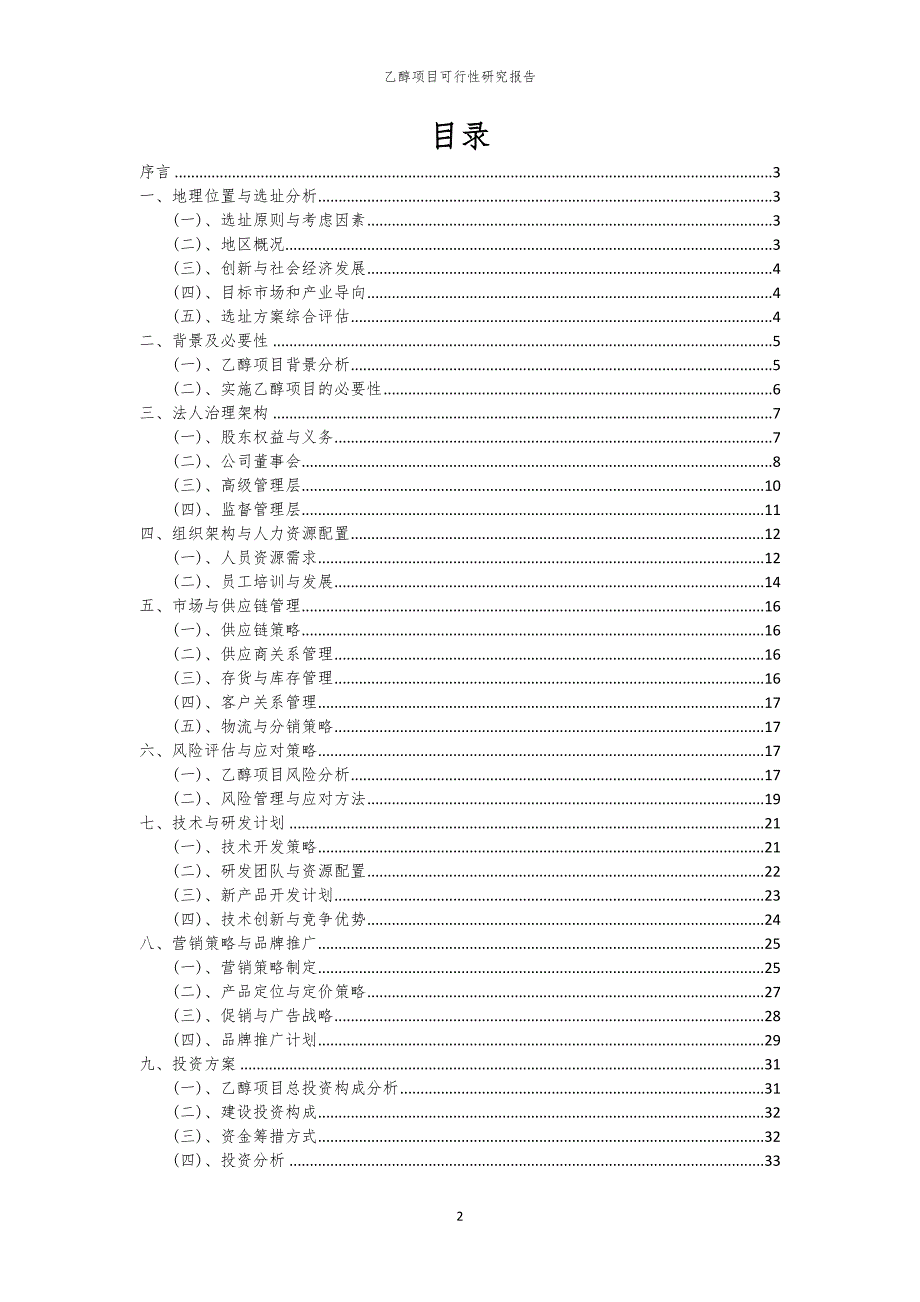 乙醇项目可行性研究报告_第2页