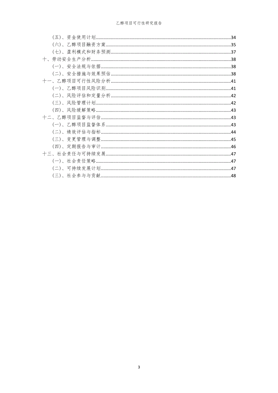 乙醇项目可行性研究报告_第3页