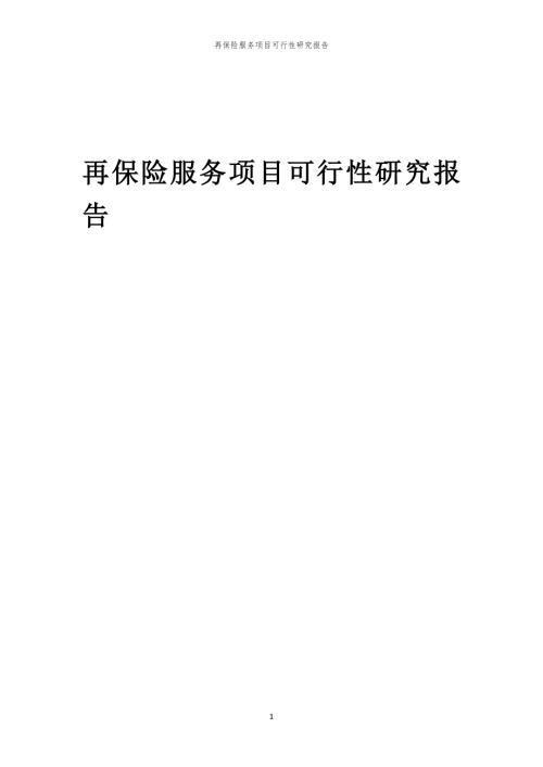 再保险服务项目可行性研究报告