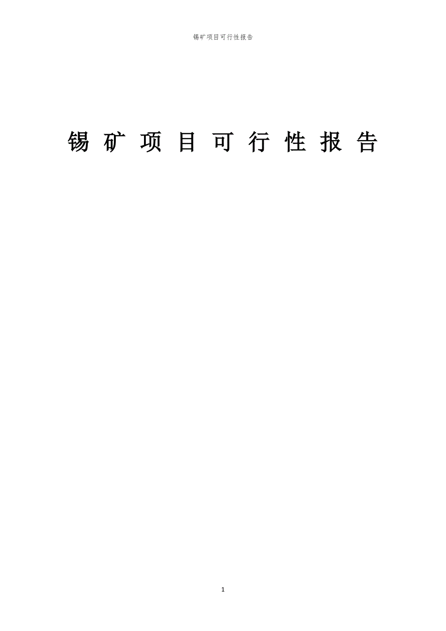 锡矿项目可行性报告_第1页