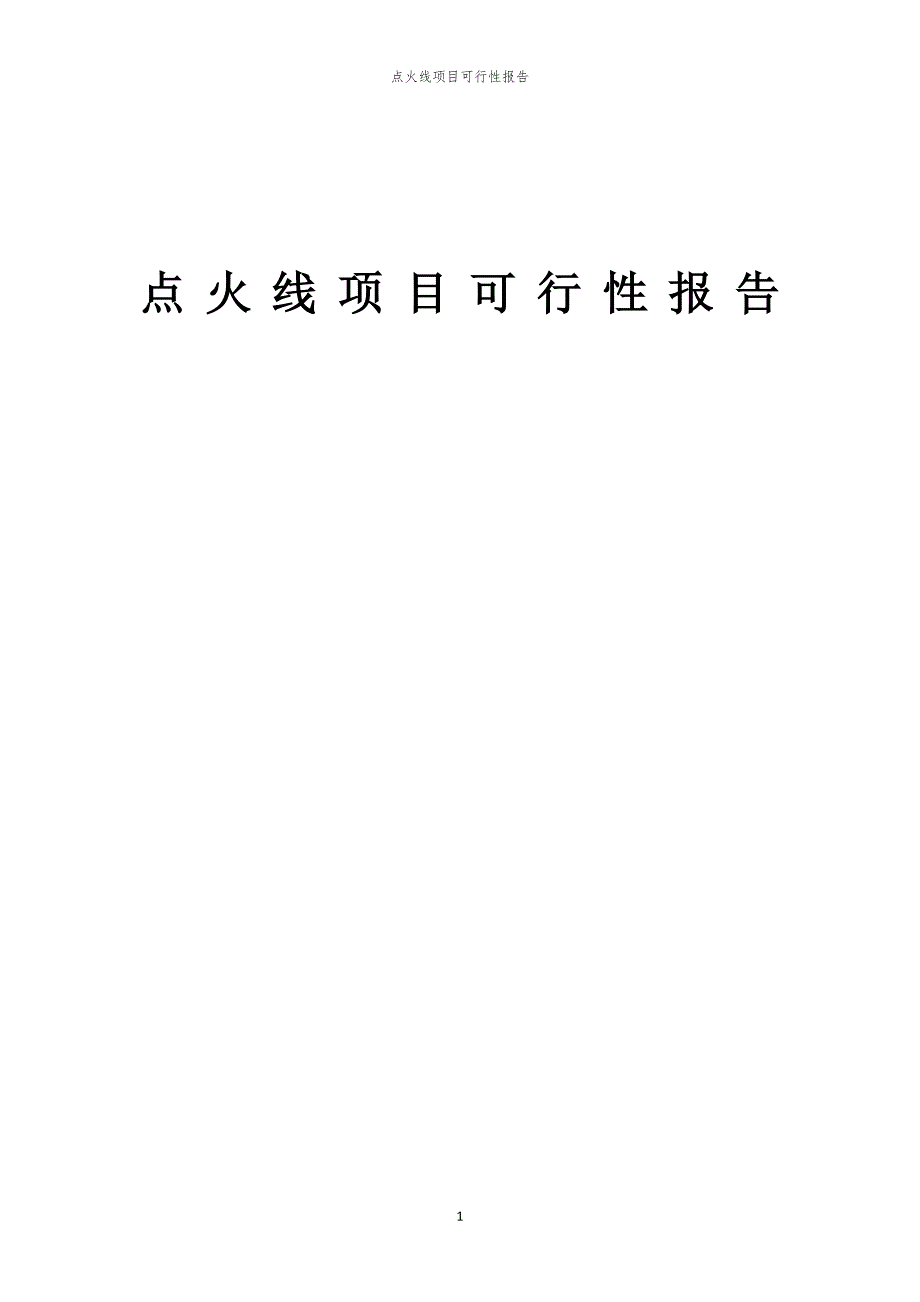 点火线项目可行性报告_第1页