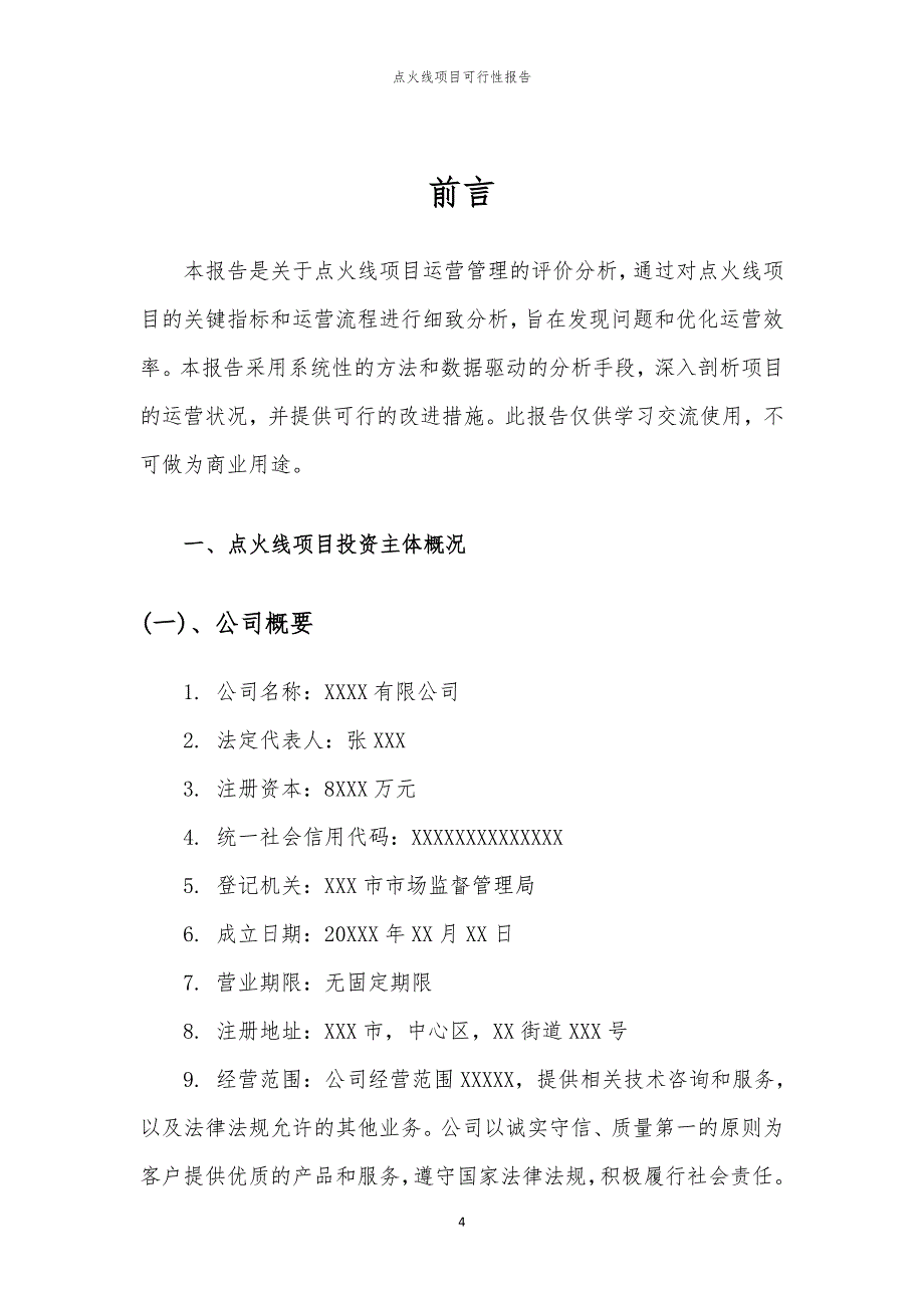 点火线项目可行性报告_第4页