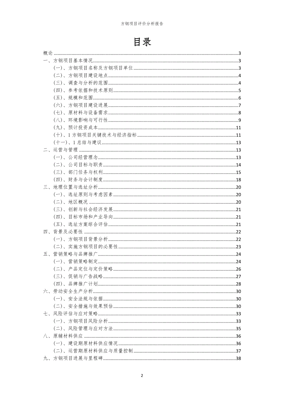 方钢项目评价分析报告_第2页