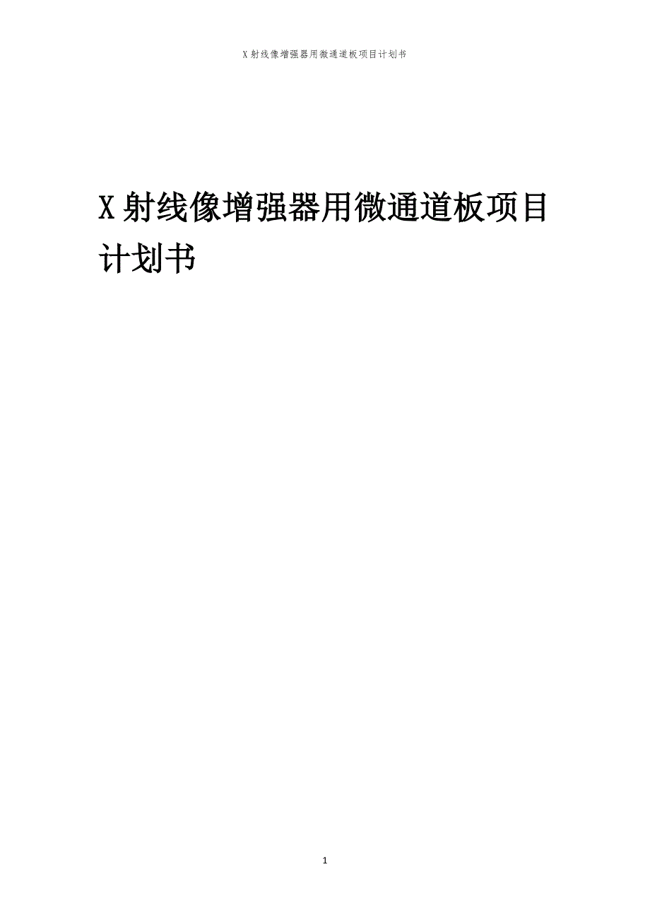 X射线像增强器用微通道板项目计划书_第1页