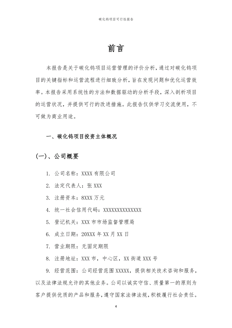 碳化钨项目可行性报告_第4页