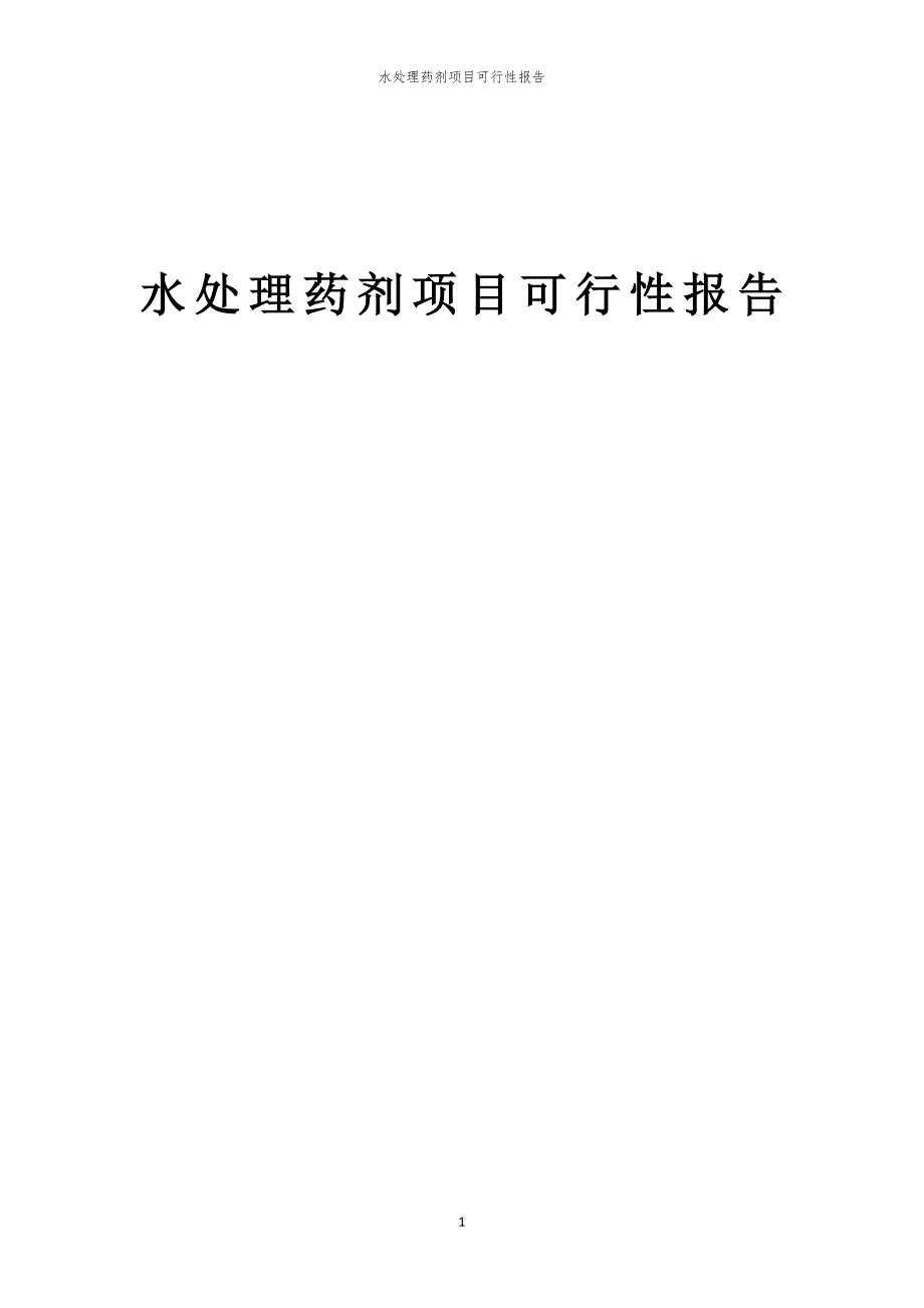 水处理药剂项目可行性报告_第1页