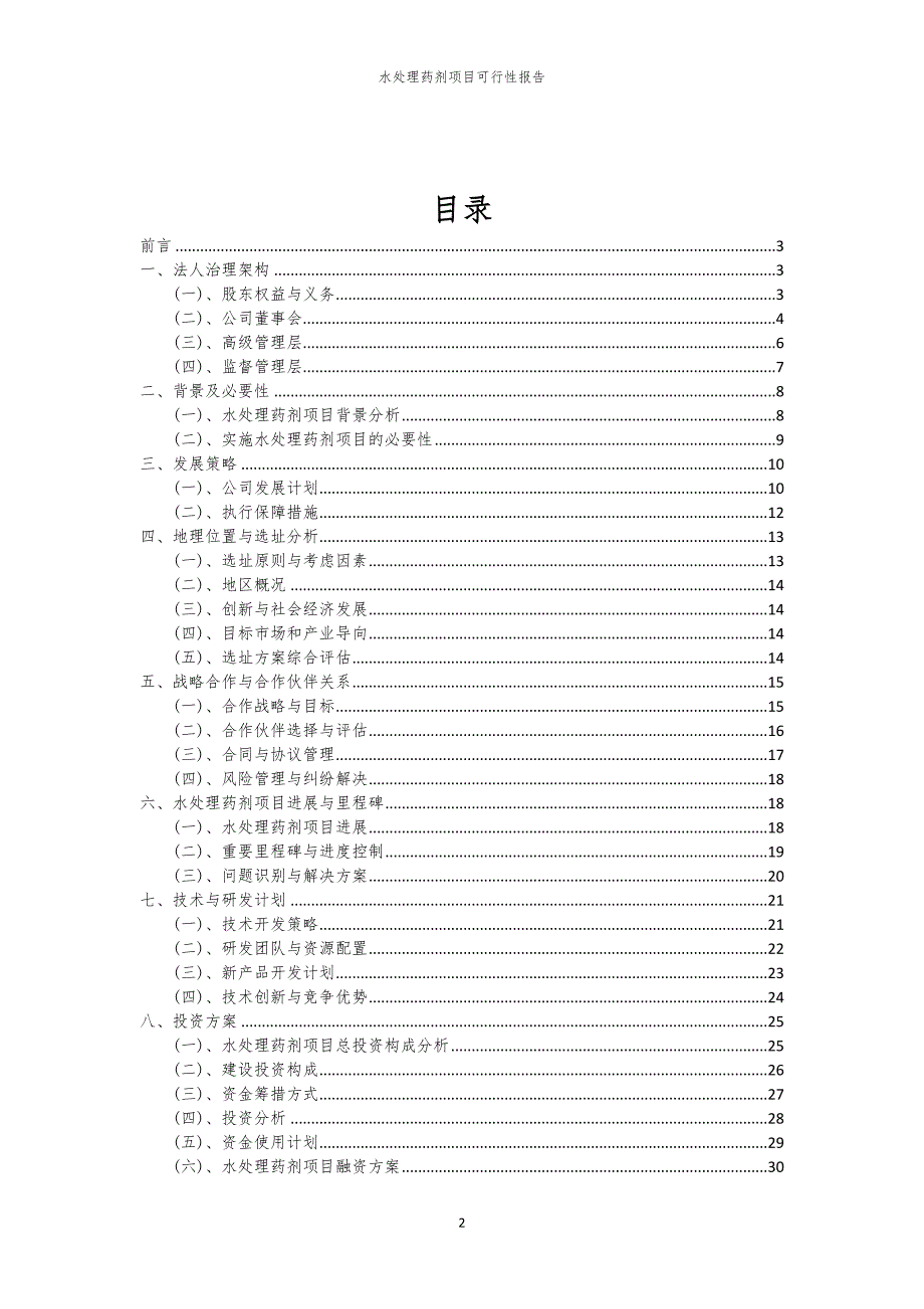 水处理药剂项目可行性报告_第2页