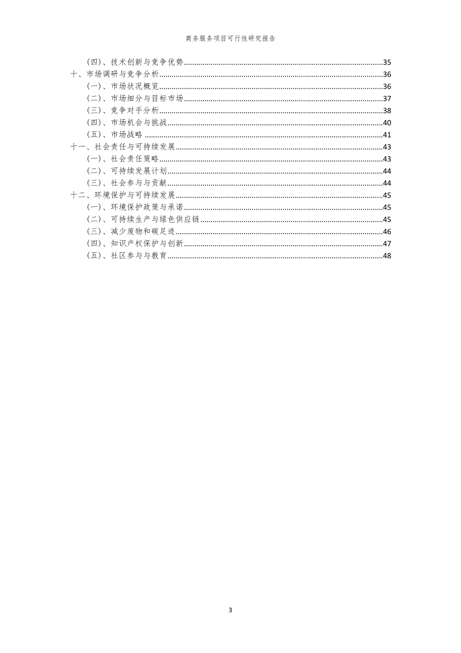 商务服务项目可行性研究报告_第3页