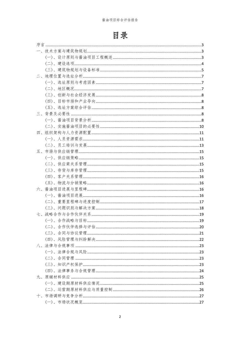 酱油项目综合评估报告_第2页