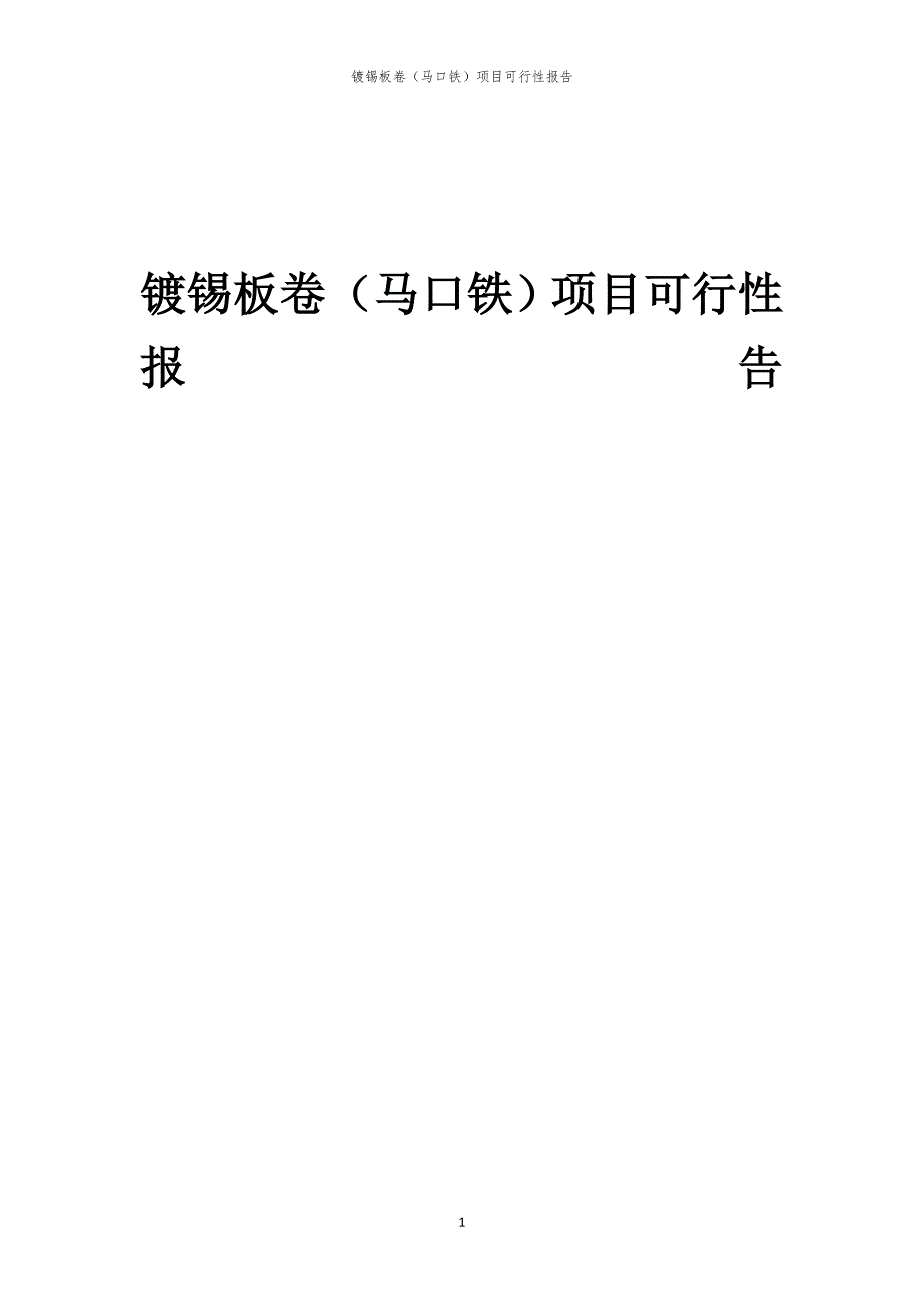 镀锡板卷（马口铁）项目可行性报告_第1页