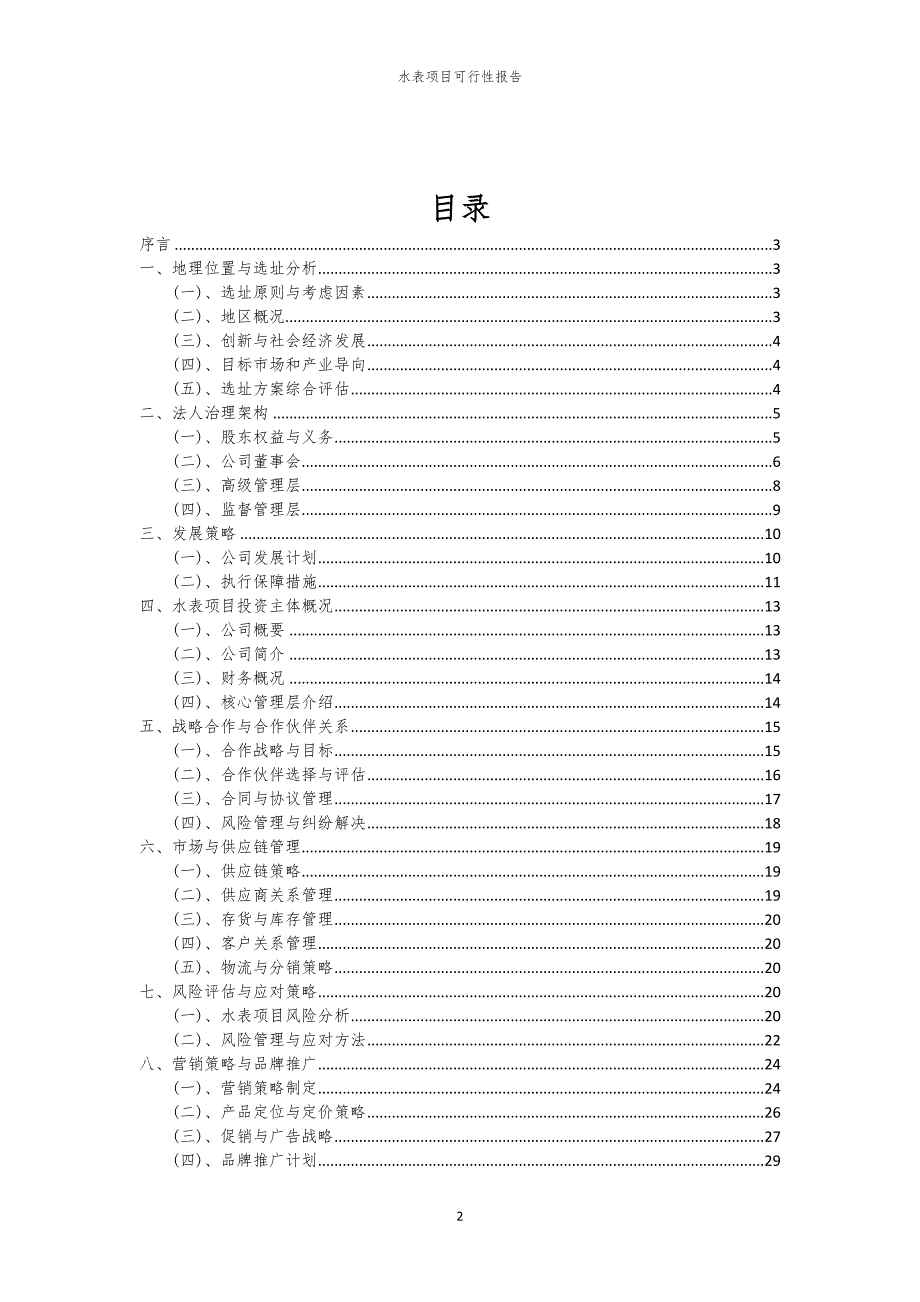 水表项目可行性报告_第2页