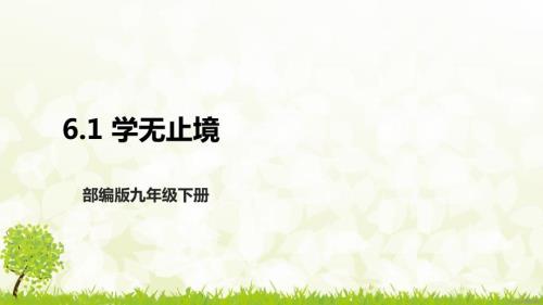 部编版九年级下册道德与法治6.1《学无止境》课件