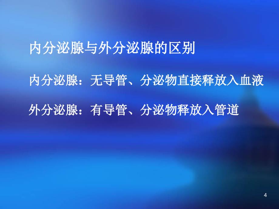 人体解剖学内分泌修改PPT课件_第4页