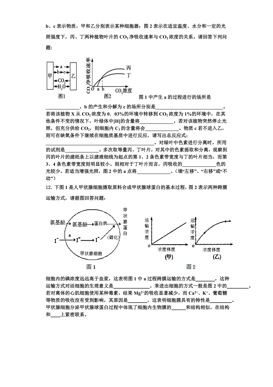 江苏省镇江市丹徒高级中学2023-2024学年高一生物第一学期期末质量跟踪监视试题含解析_第3页