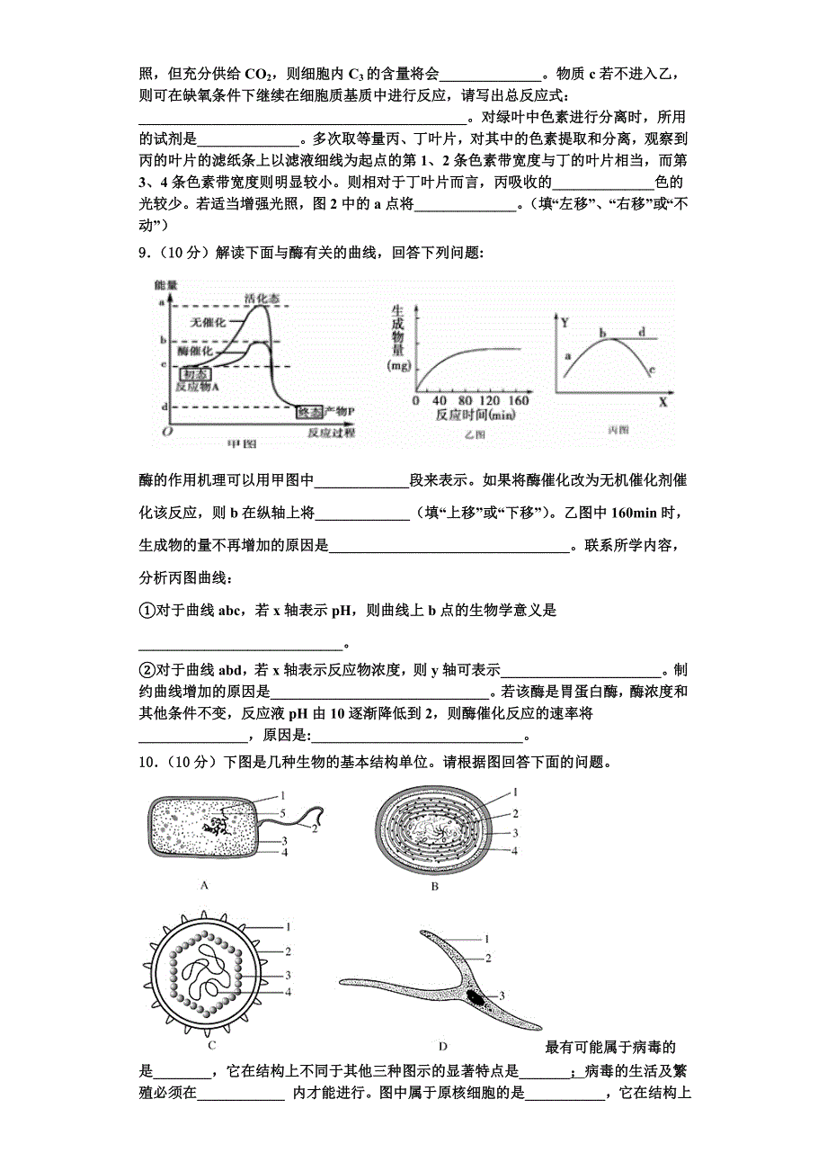 山东省邹平县黄山中学2023年生物高一第一学期期末复习检测模拟试题含解析_第3页