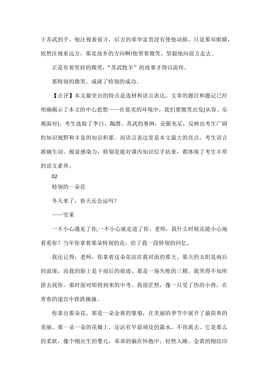 2024中考押题作文《特别的___》附范文_第3页