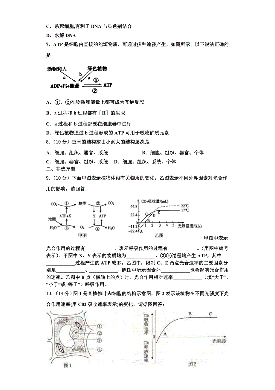 云南省腾冲市第八中学2023-2024学年高一生物第一学期期末经典试题含解析_第2页