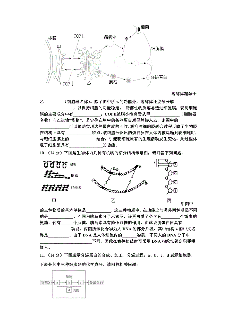 2023-2024学年甘肃省金昌市永昌四中生物高一第一学期期末考试模拟试题含解析_第3页