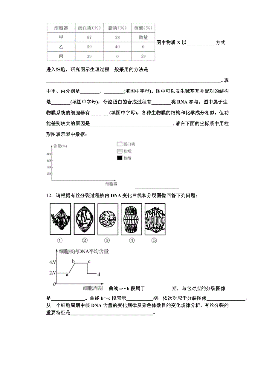 2023-2024学年甘肃省金昌市永昌四中生物高一第一学期期末考试模拟试题含解析_第4页