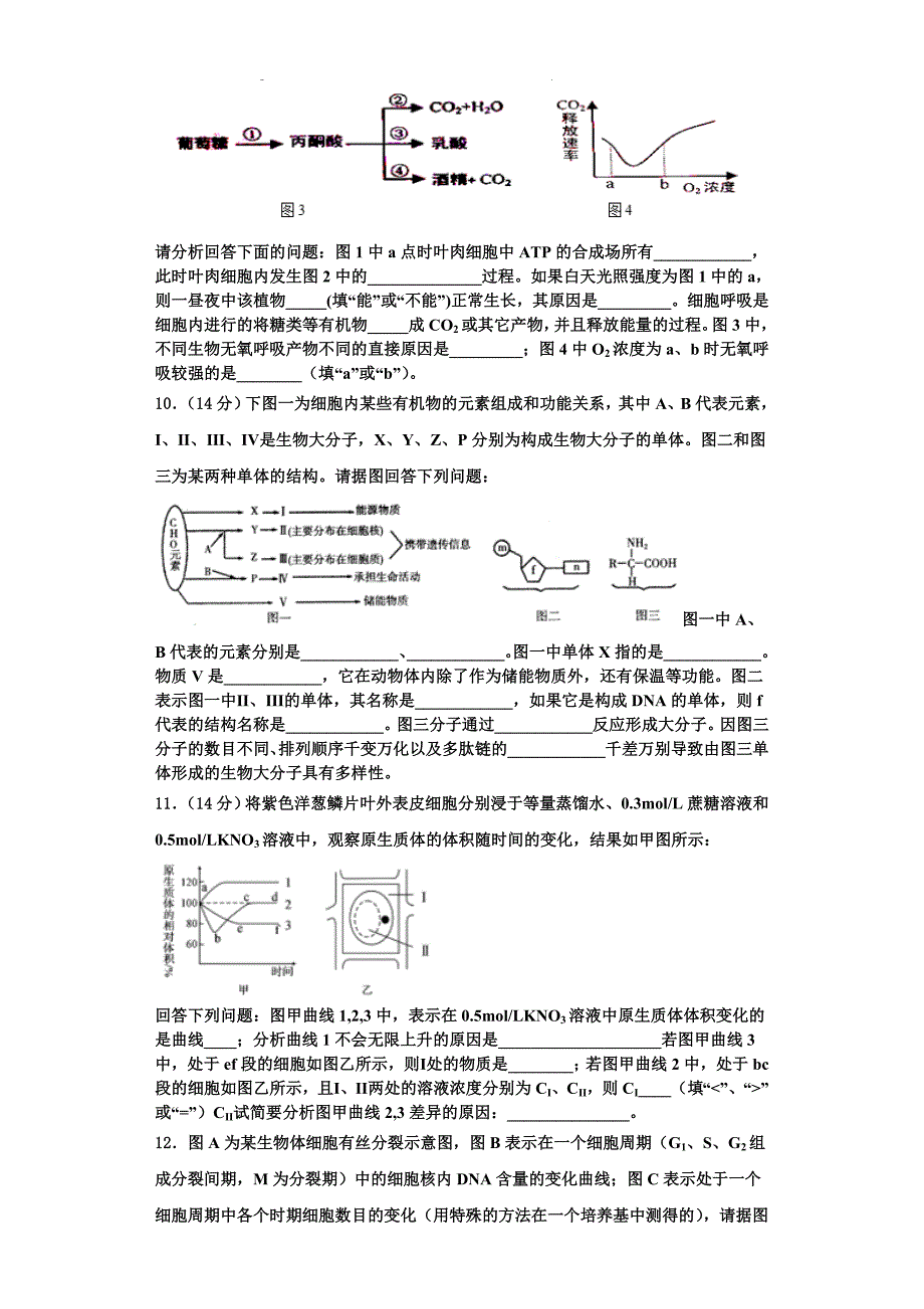 河北雄安新区博奥高级中学2023年生物高一第一学期期末检测试题含解析_第3页