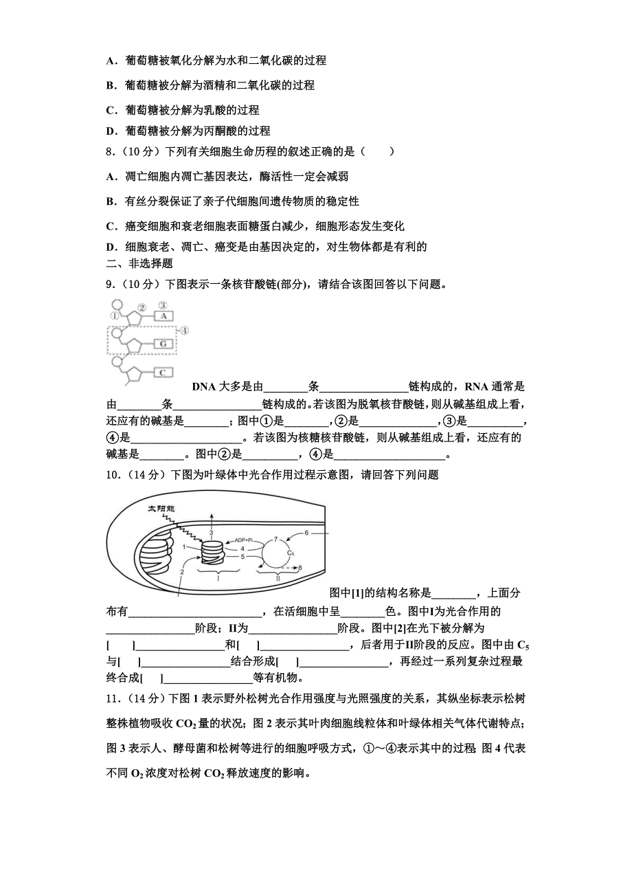 上海市嘉定区嘉一中2023-2024学年生物高一上期末调研模拟试题含解析_第2页