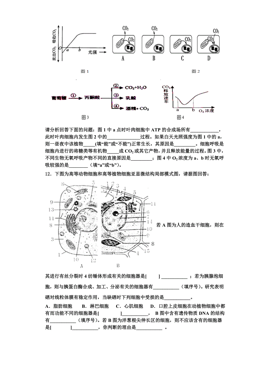 上海市嘉定区嘉一中2023-2024学年生物高一上期末调研模拟试题含解析_第3页