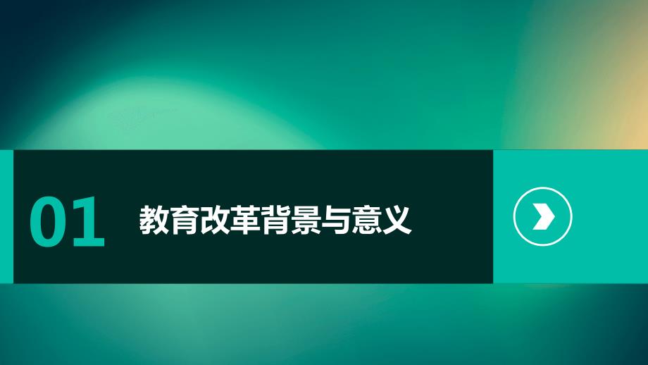 2024年教育改革计划公布_第3页