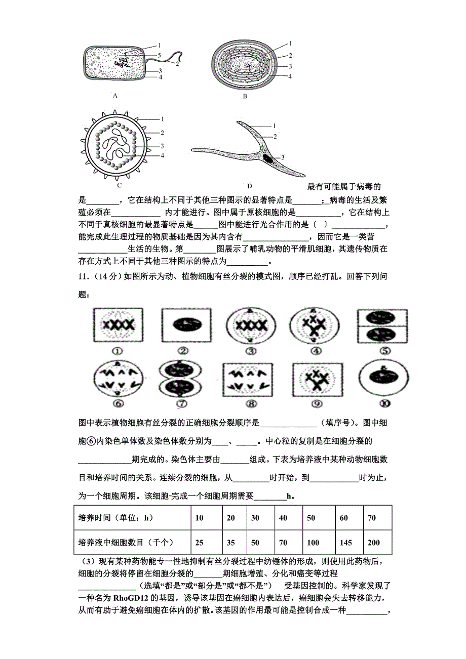 2024届江西省南昌市东湖区第十中学生物高一上期末检测试题含解析_第4页