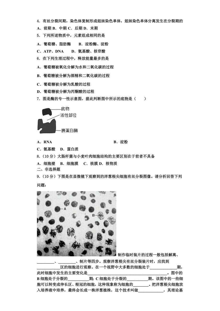 2023年吉林省长春市朝阳区实验中学生物高一第一学期期末综合测试模拟试题含解析_第2页