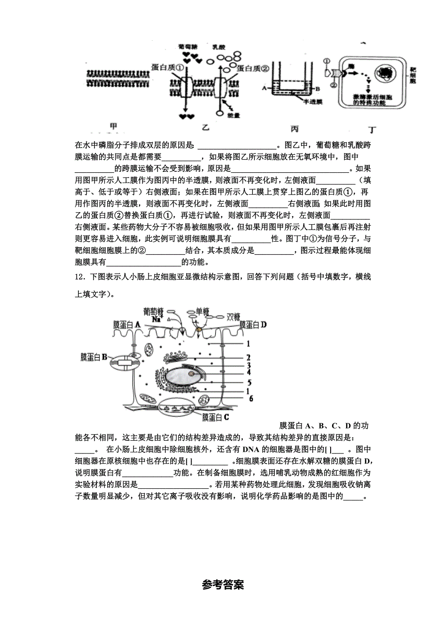 2024届江西省宜春市袁州区宜春九中生物高一第一学期期末统考试题含解析_第4页