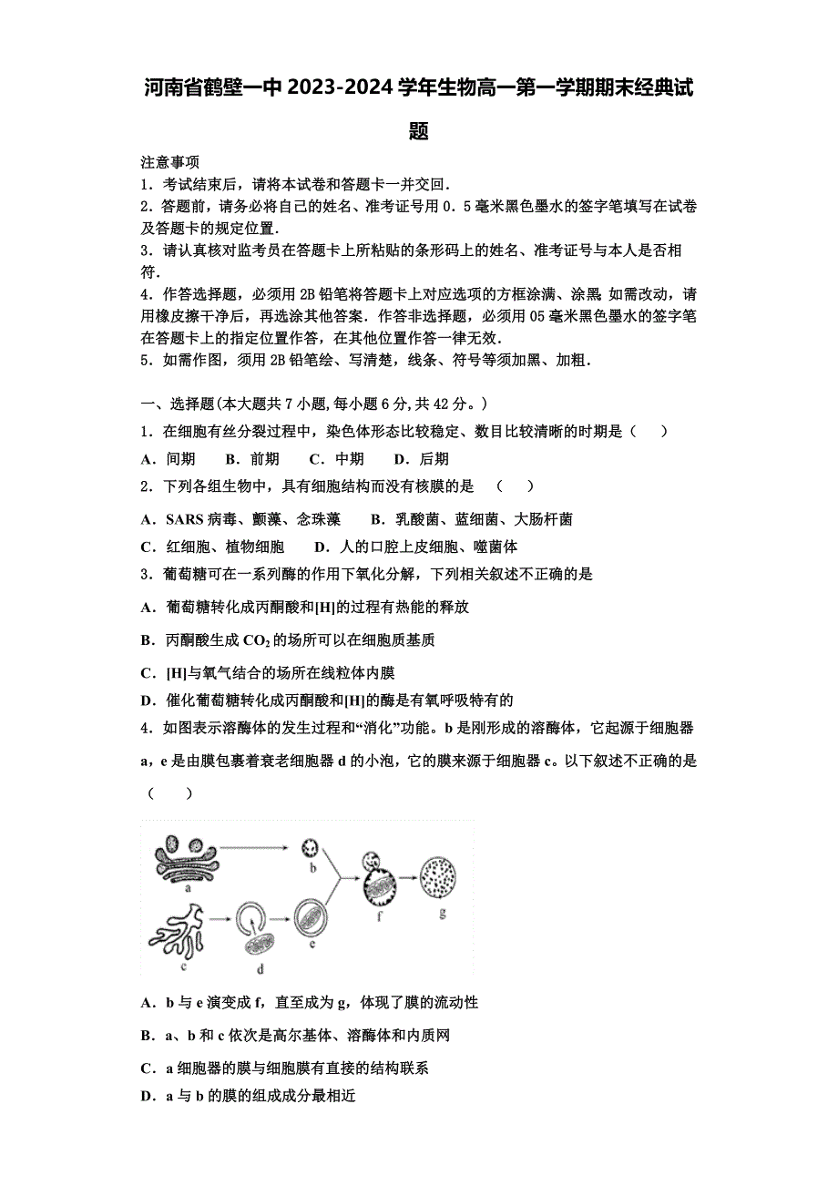 河南省鹤壁一中2023-2024学年生物高一第一学期期末经典试题含解析_第1页