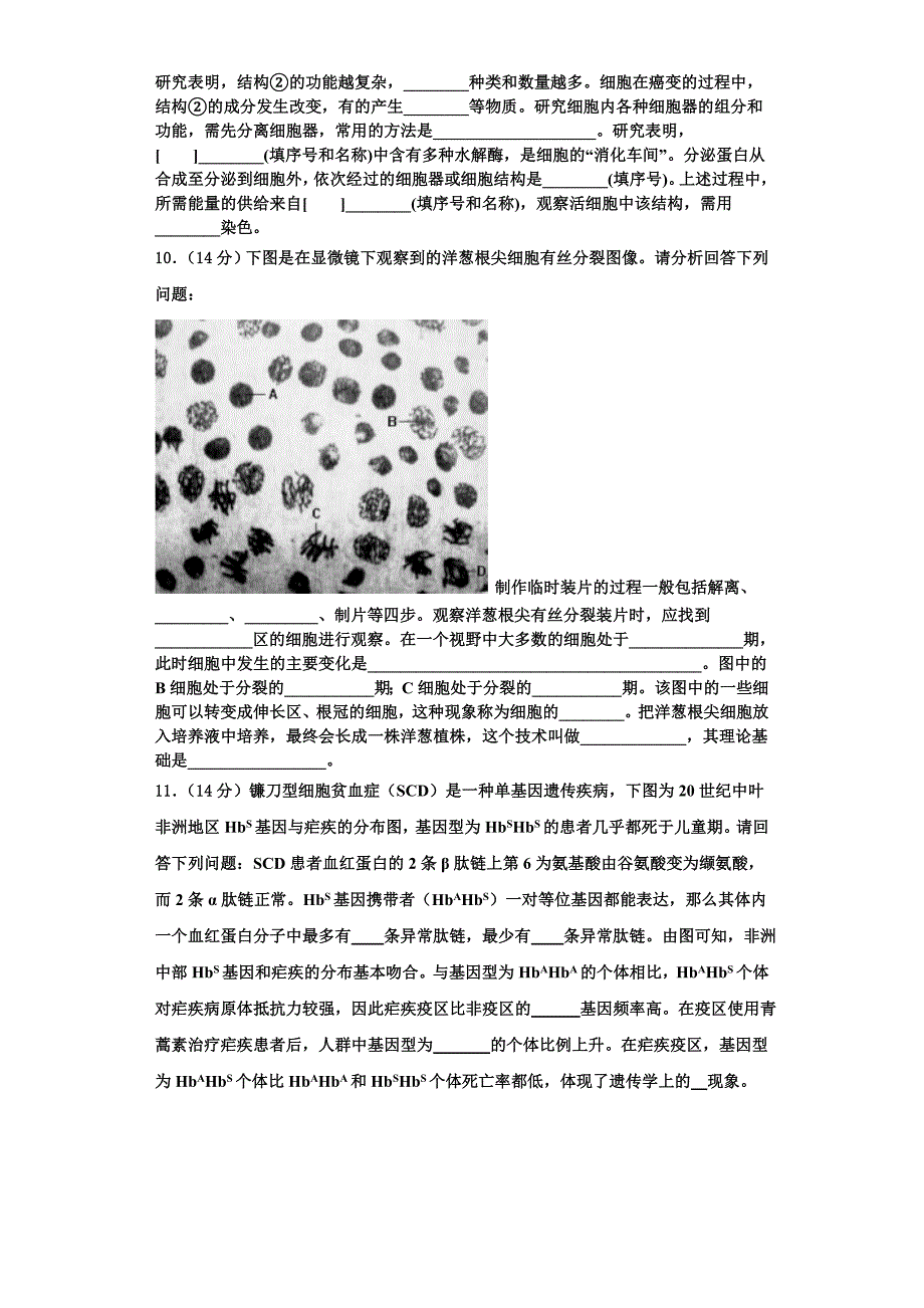 河南省鹤壁一中2023-2024学年生物高一第一学期期末经典试题含解析_第3页