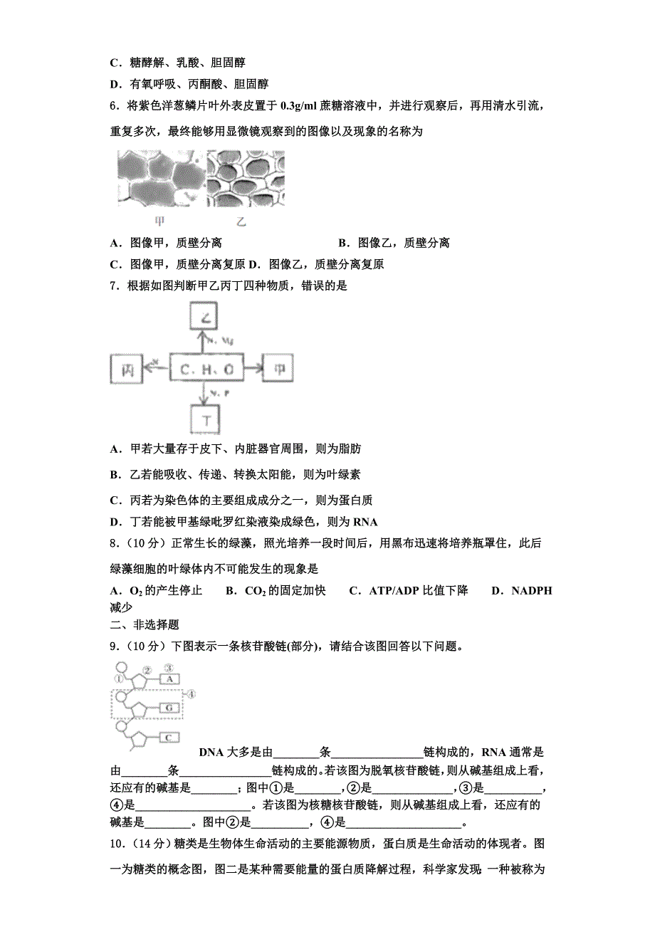 2024届河南省八市学评生物高一第一学期期末质量跟踪监视试题含解析_第2页