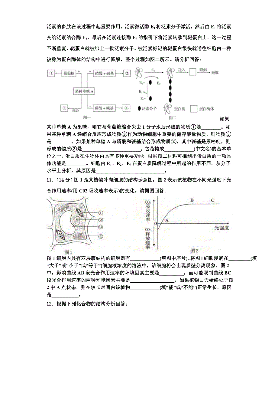 2024届河南省八市学评生物高一第一学期期末质量跟踪监视试题含解析_第3页