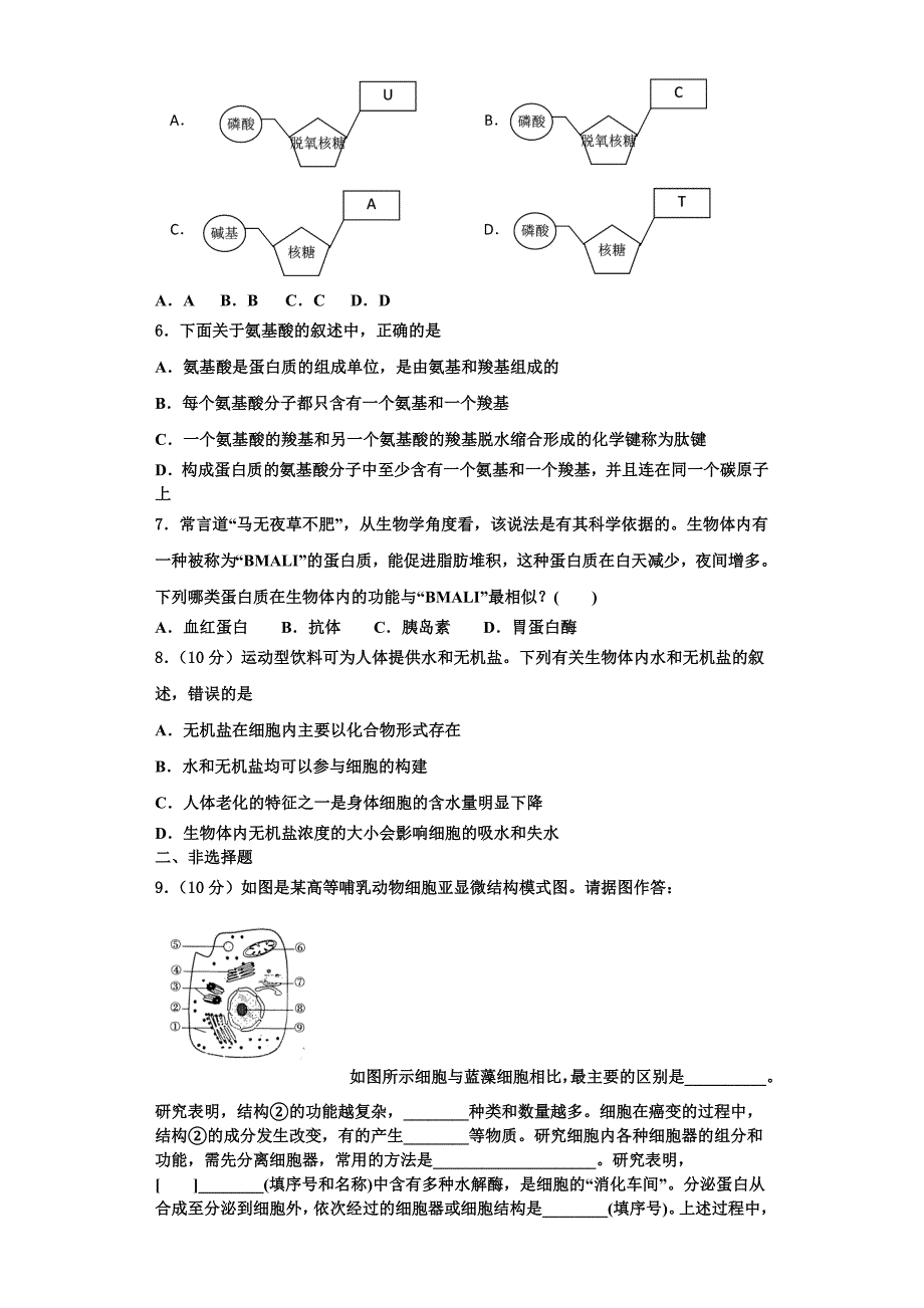 2024届湖南省邵东县第三中学高一生物第一学期期末考试试题含解析_第2页