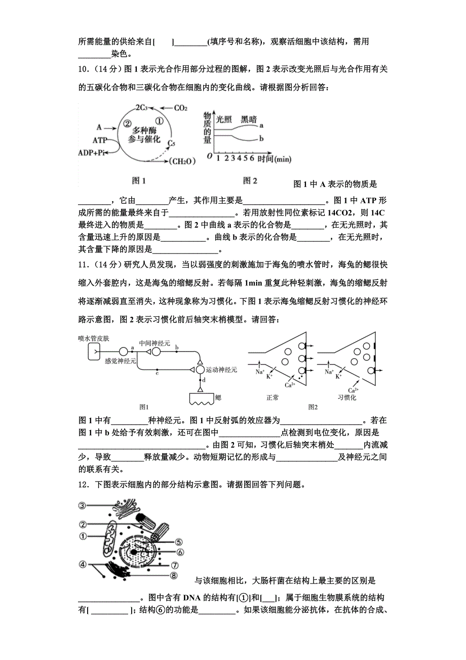 2024届湖南省邵东县第三中学高一生物第一学期期末考试试题含解析_第3页