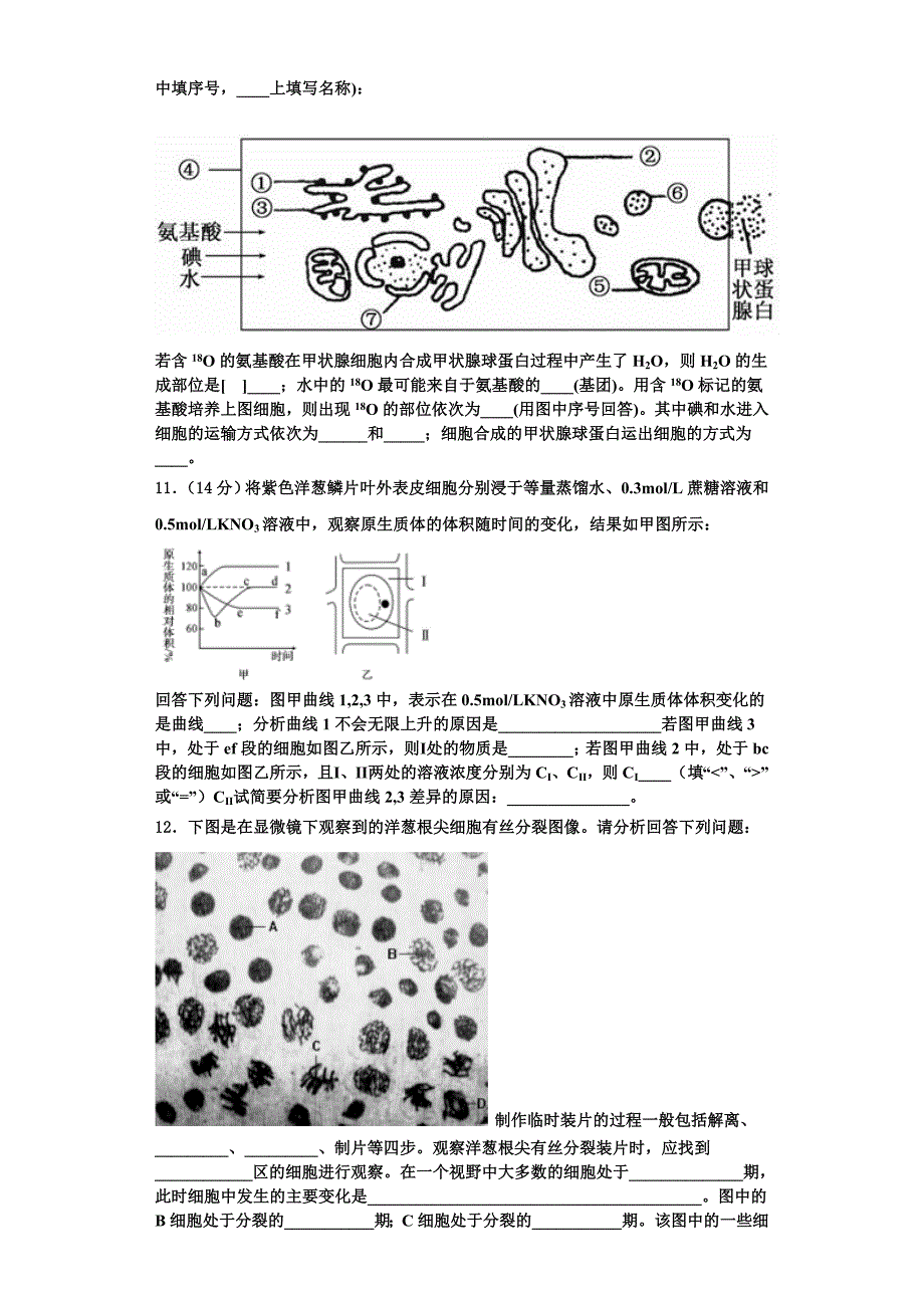 2023年浙江省十校联盟生物高一上期末综合测试模拟试题含解析_第3页