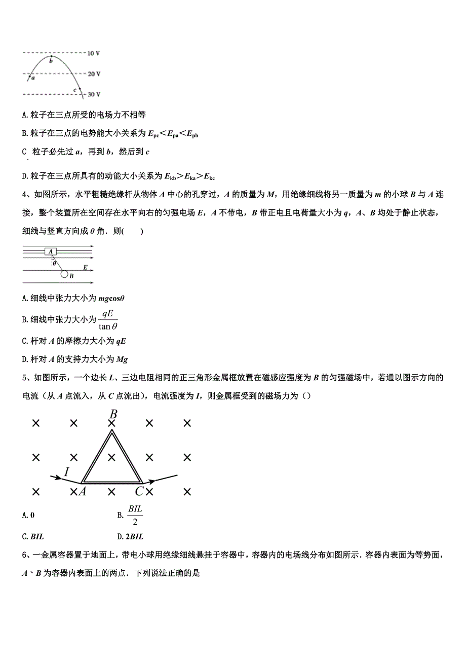 2024届吉林省白城市洮南十中物理高二第一学期期末质量检测模拟试题含解析_第2页